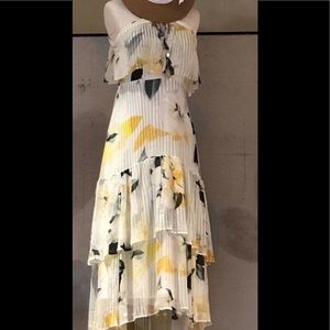 Anthropologie Garden Party Dress